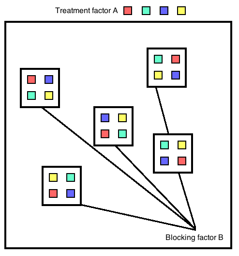 Randomized block design