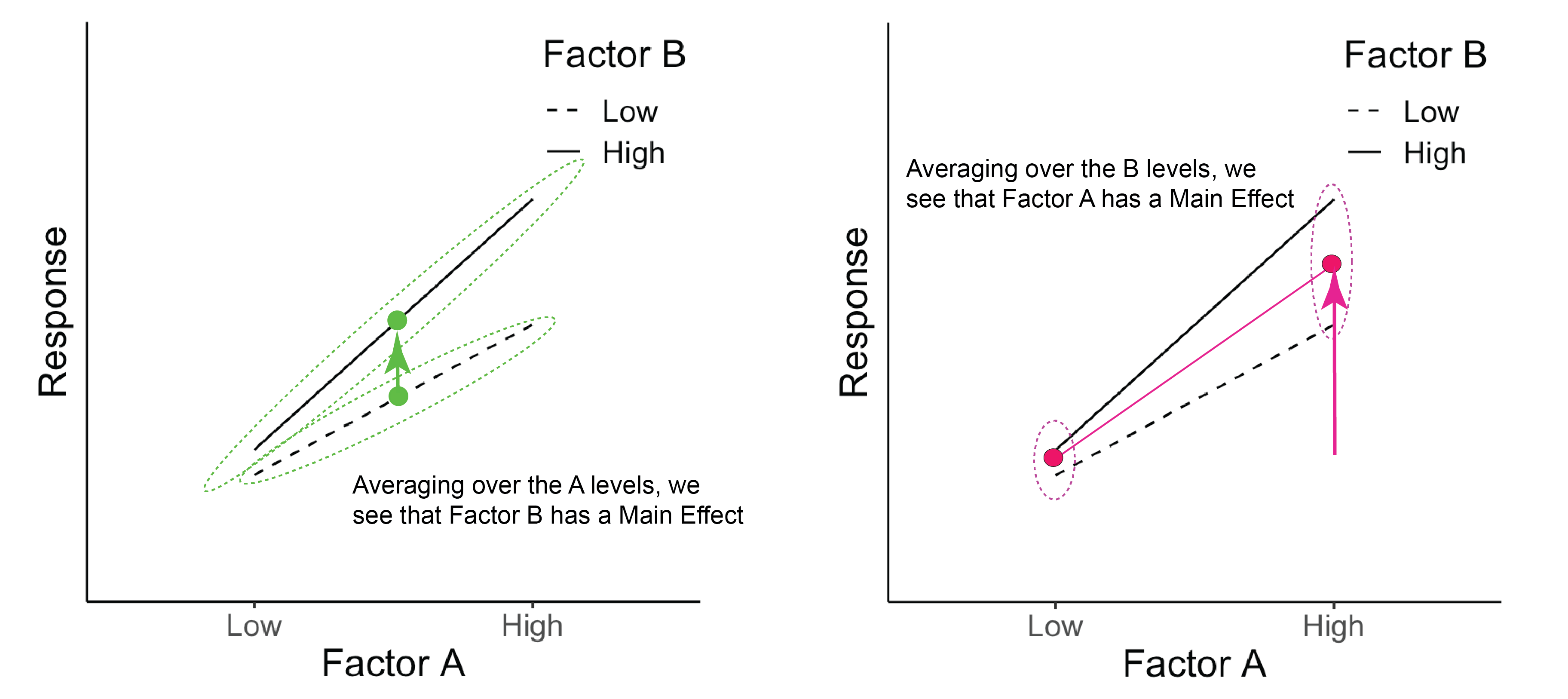 The green dots represent the average across Factor A for each B level. The pink dots represent the average across Factor B for each A level.