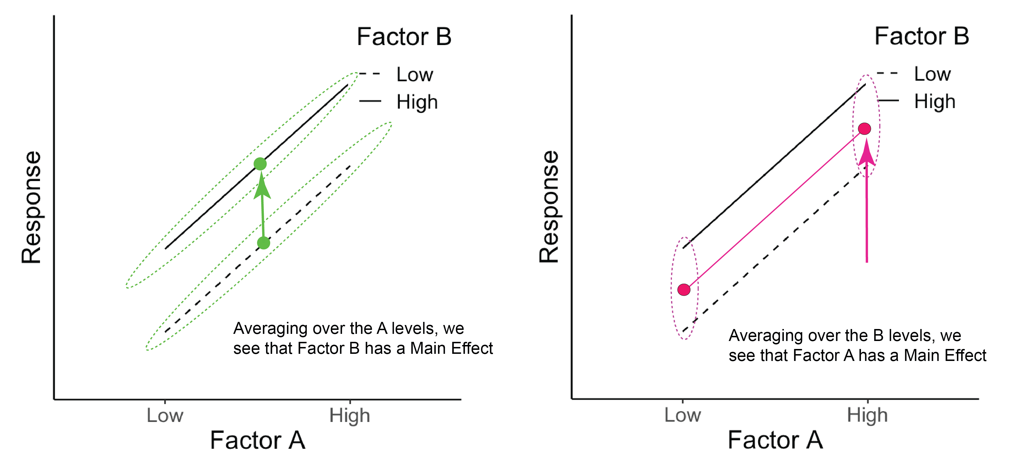 The green dots represent the average across Factor A for each B level. The pink dots represent the average across Factor B for each A level.