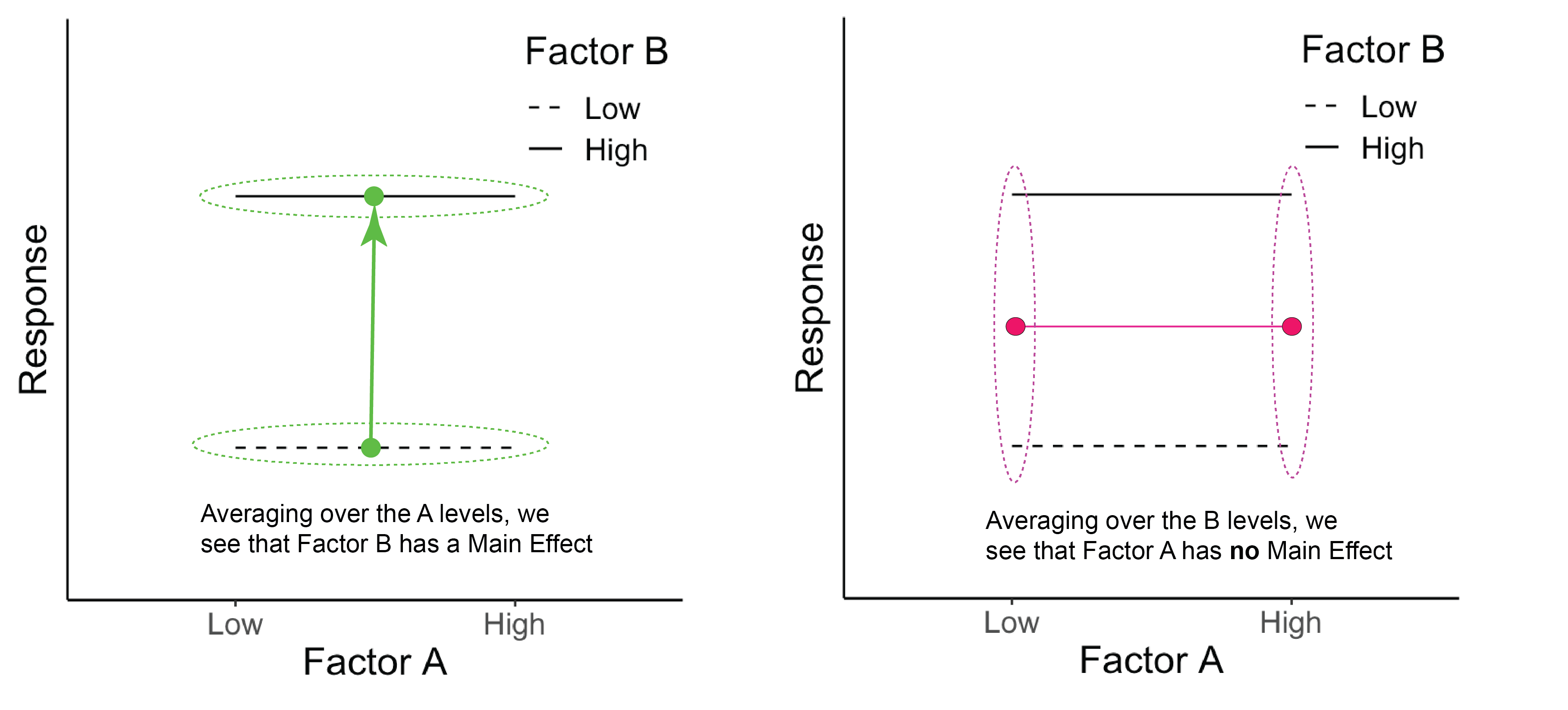 The green dots represent the average across Factor A for each B level. The pink dots represent the average across Factor B for each A level.