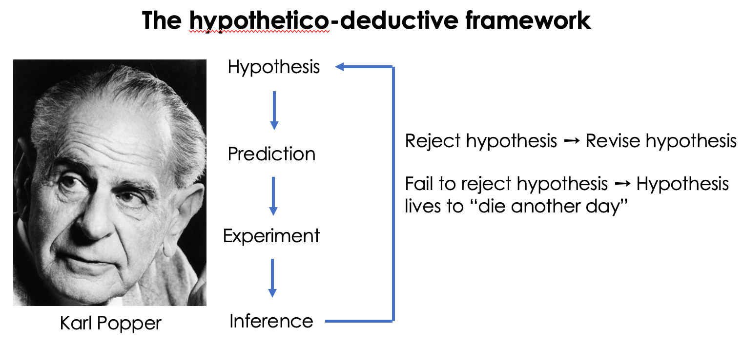 Hypothetico-deductive view of the scientific method. Photo Source: LSE Library